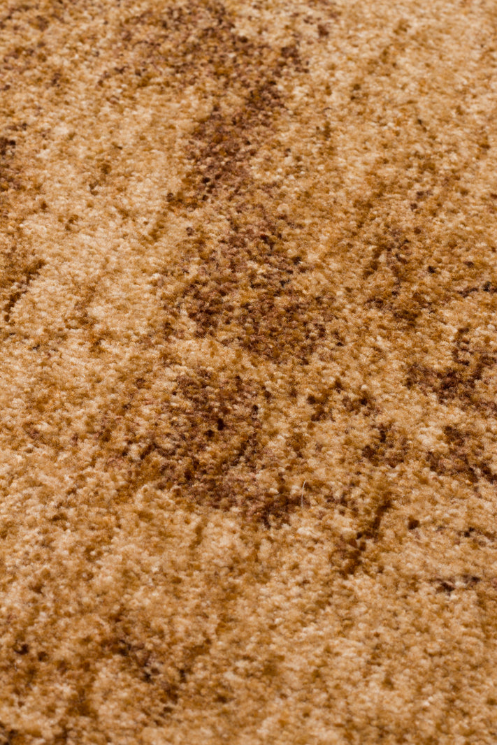 Poet's Parchment - Area Rug - SHR1B