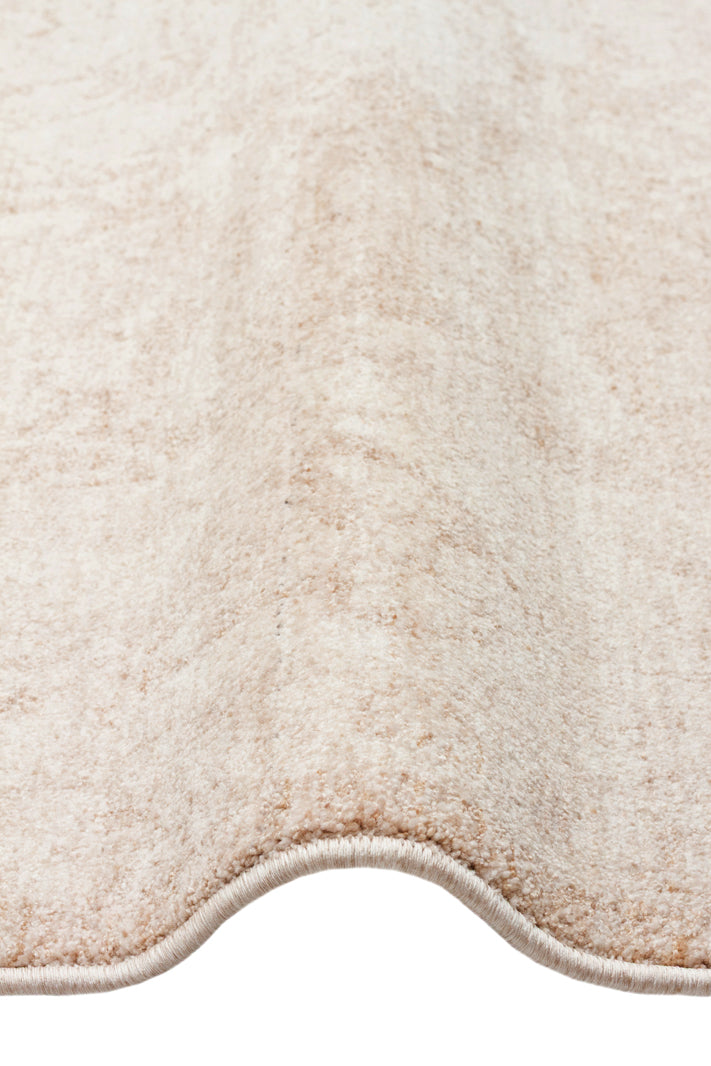 Garden Path - Area Rug - SHR1C