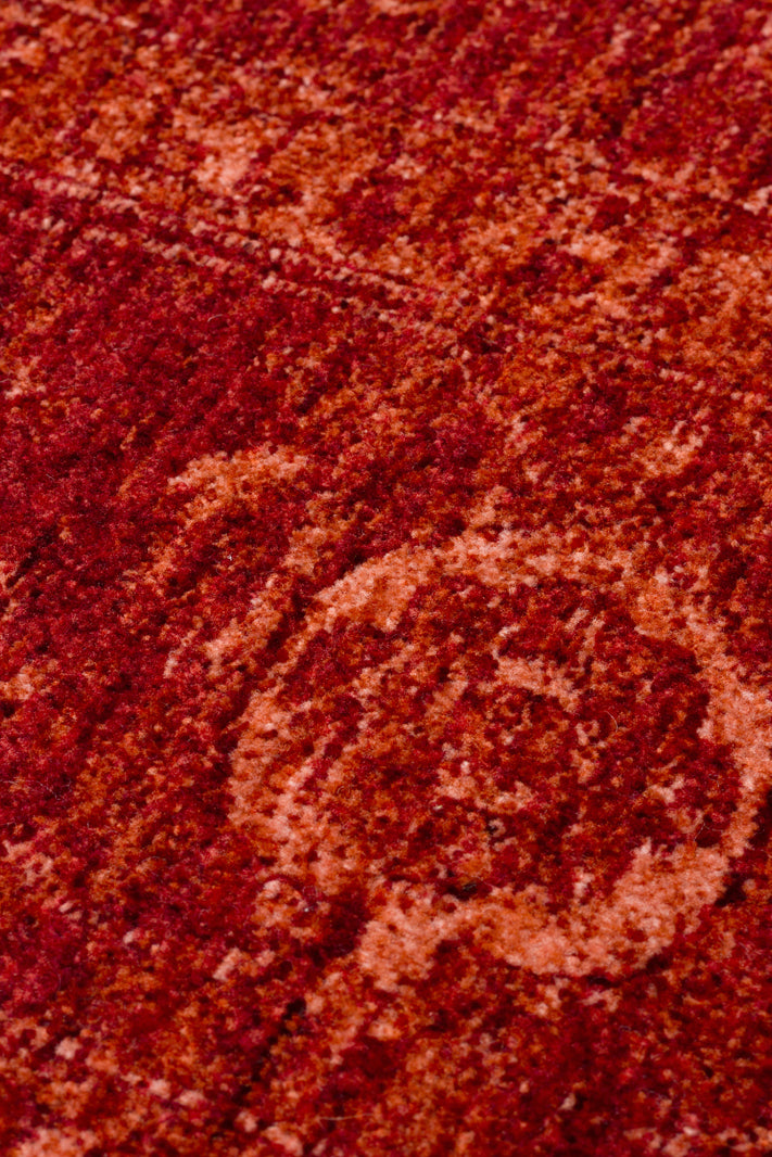 Velvet Berry - Area Rug - SHR3R