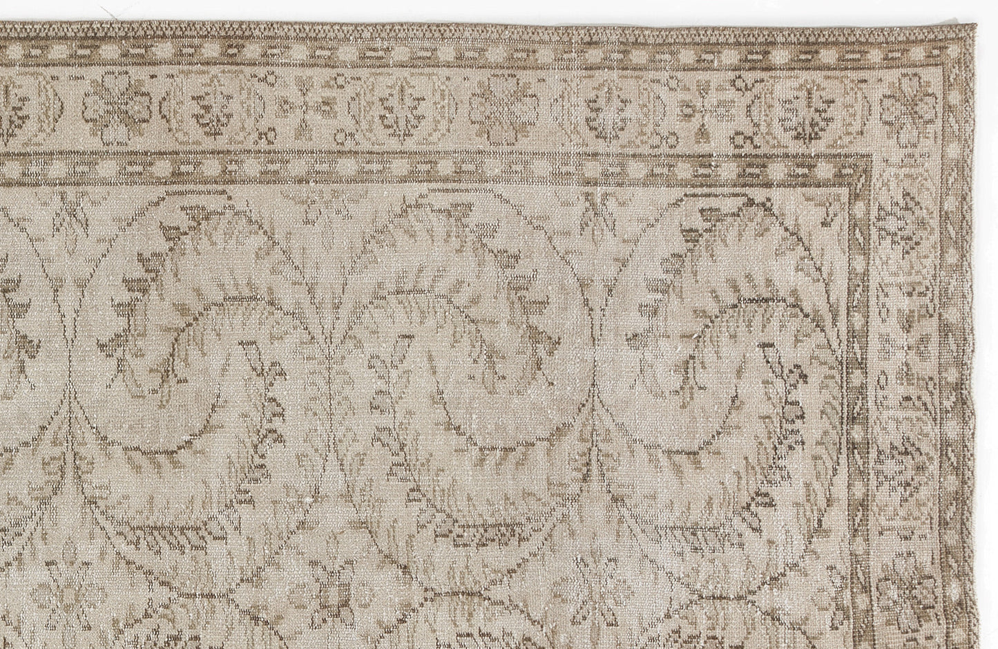 Beige and taupe vintage-style rug with a distressed floral vine pattern and a decorative geometric border.