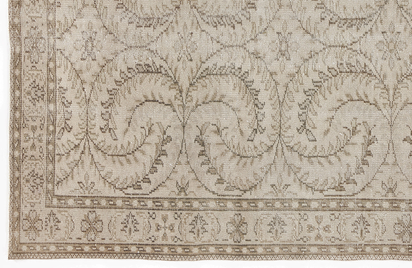 Beige and taupe traditional rug with a repeating vine and floral medallion pattern and a decorative border.