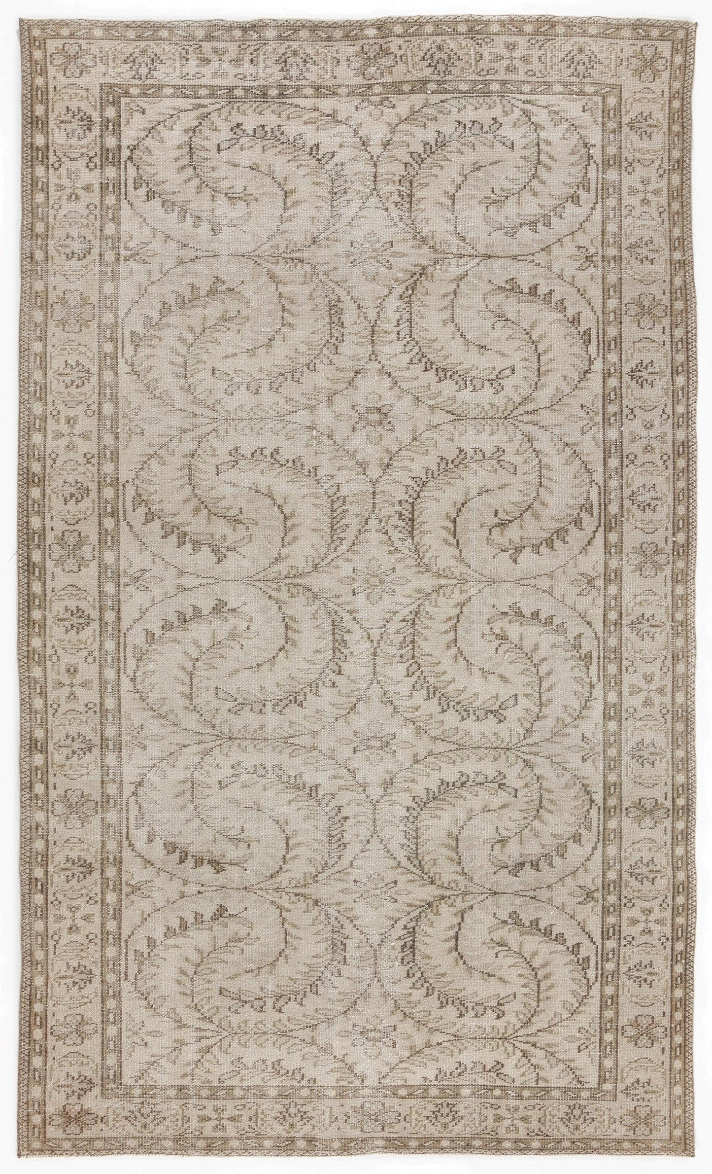 Beige and taupe rug with a repeating vine and leaf scroll pattern and a decorative geometric border.