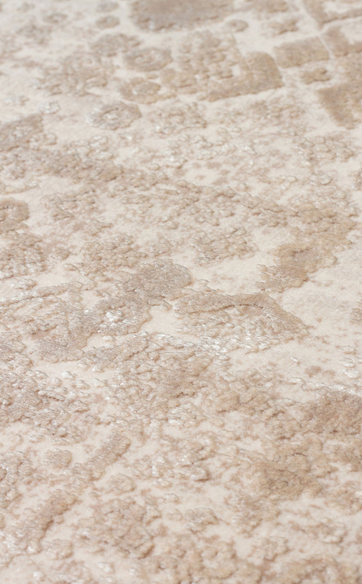 Bare Gallery - Area Rug - FS31