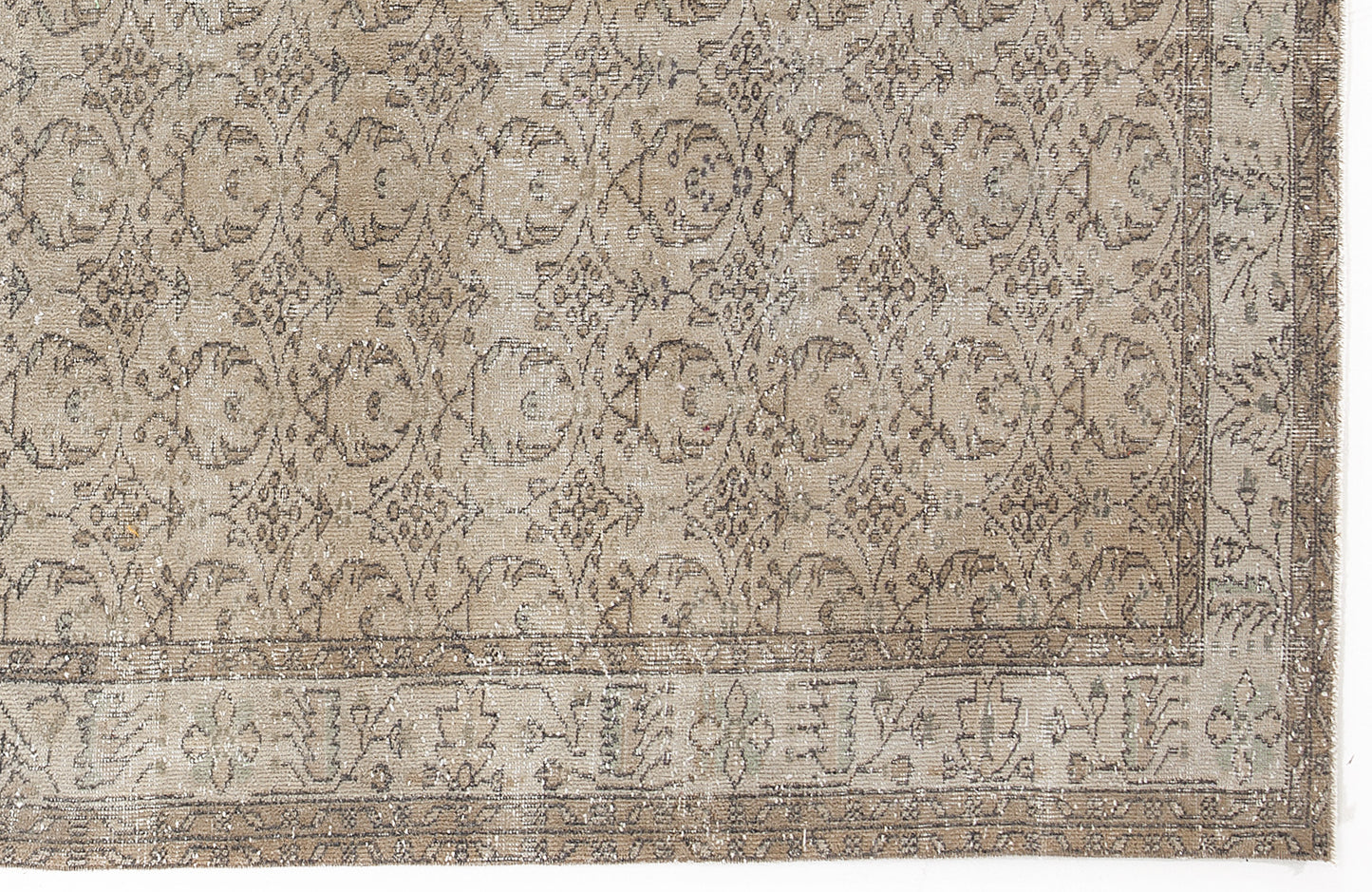 Beige and taupe vintage-style rug with a distressed floral medallion pattern and a decorative border.