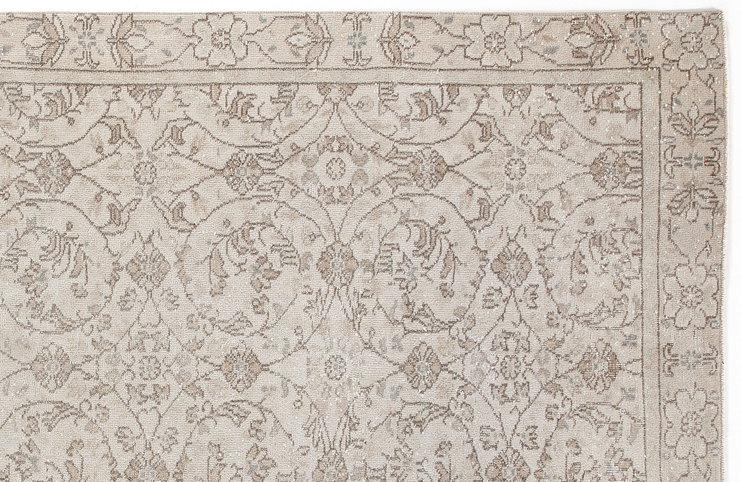 Beige and taupe traditional rug with a distressed floral vine pattern and a decorative border.