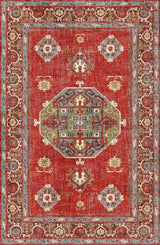 Decorative red rug with intricate patterns and designs