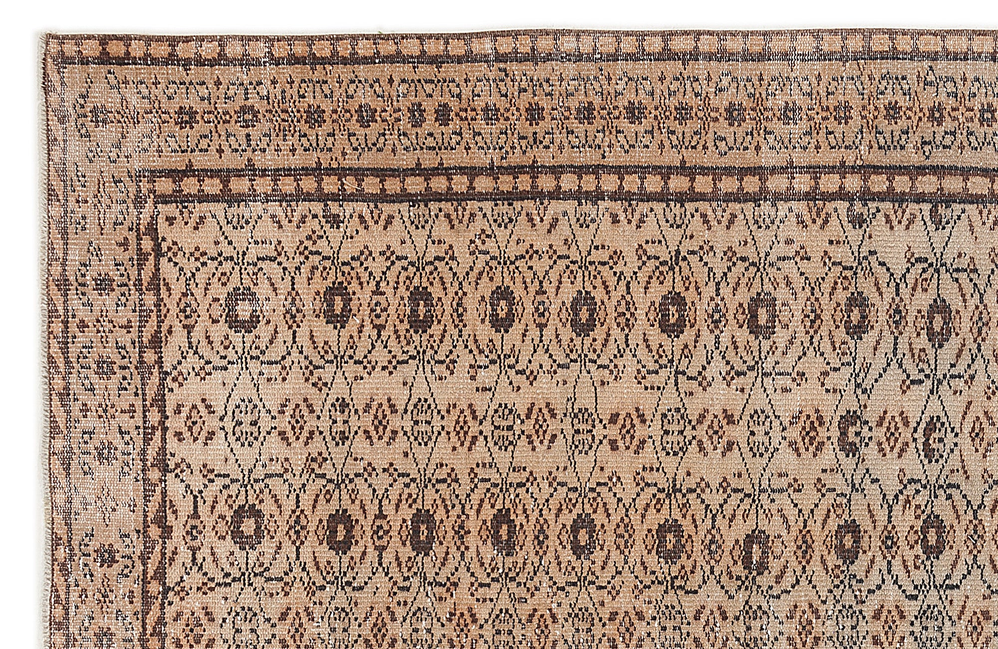 Benaor - Vintage Floral Rug - 5'7 X 9'0
