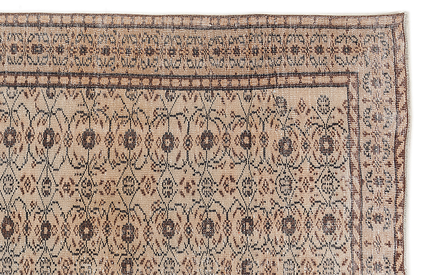 Benaor - Vintage Floral Rug - 5'7 X 9'0