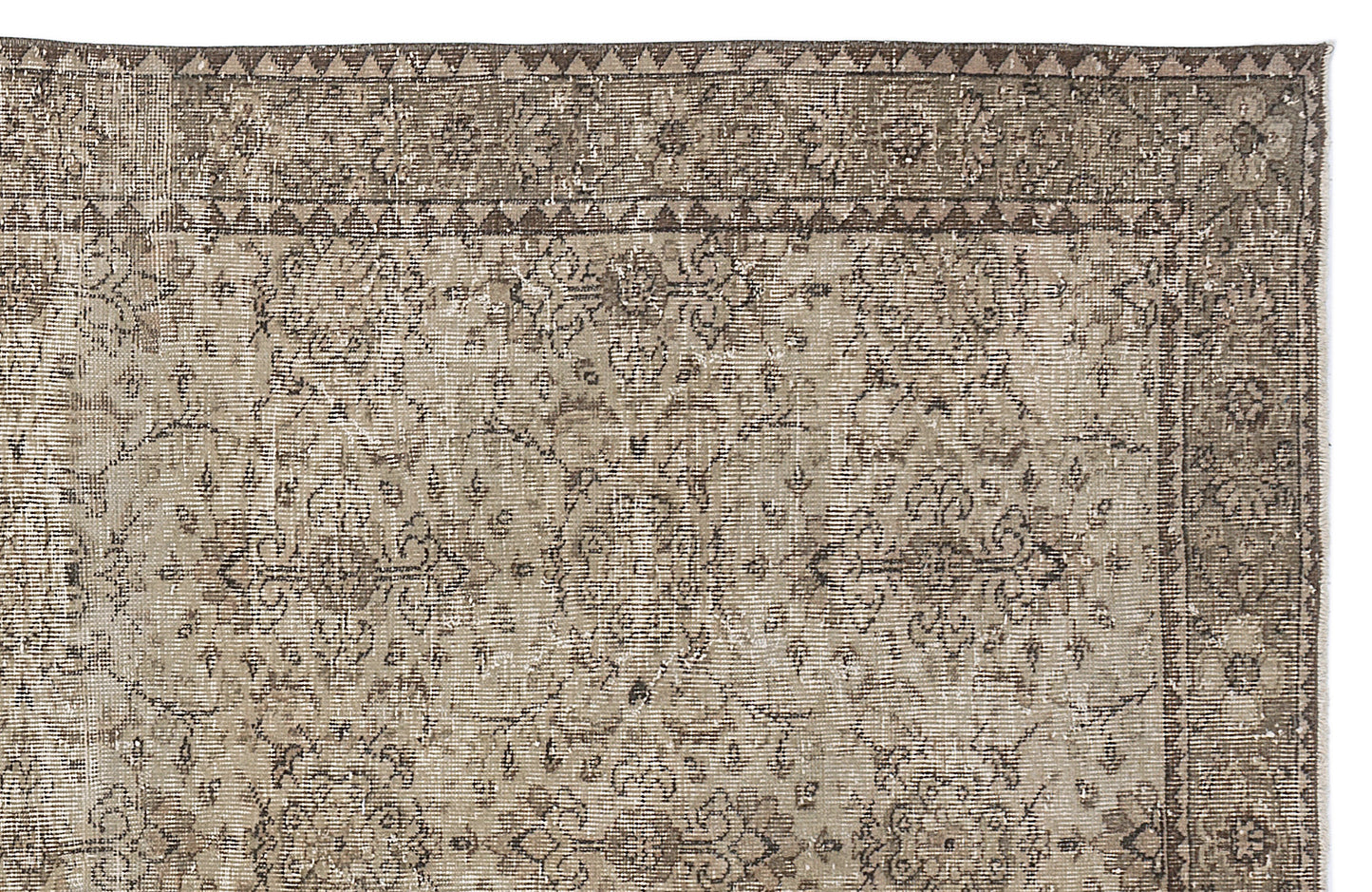 Sigema - Vintage Floral Rug - 5'7 X 9'5
