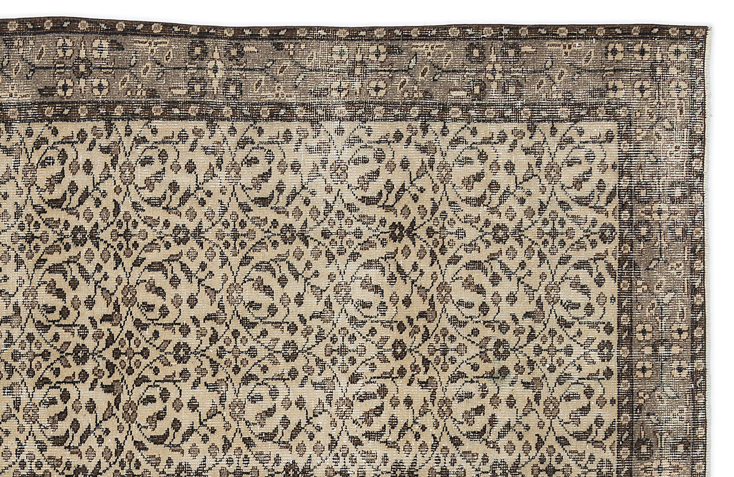 Thaetaex - Vintage Floral Rug - 5'7 X 9'5