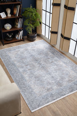 The Ancient Treasure - Washable Rug - JR1785 (Custom Size) in light gray adds style to a cozy living room with a beige sofa, potted plant, bookcase, and tall windows—perfect for high-traffic areas.