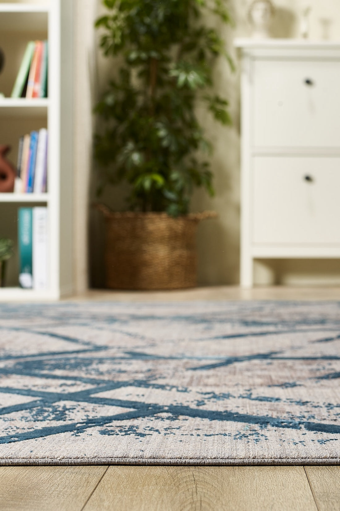A close-up of the Dominant Lineage Modern Rug - Teal - HRD010 on a hardwood floor in a cozy room, with a bookshelf, leafy potted plant in a wicker basket, and white cabinet blurred in the background.