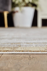 Close-up of the Radiant Edges Bordered Rug - Amber - M542G on a wooden floor, featuring its detailed edge and the wood's texture. A white plant pot and blurred furniture appear in the background.